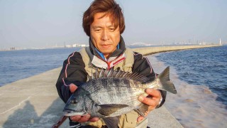 チヌ道一直線 其の二十九　歩け！歩け！落とし込みで気難しい乗っ込みチヌを探り出せ。