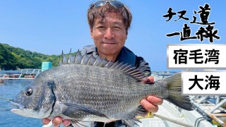 チヌ道一直線 114 宿毛湾・大海 憧れの地でまさかの大苦戦！