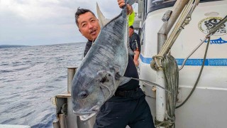 Standing Hunts 10 Yonaguni Roninaji