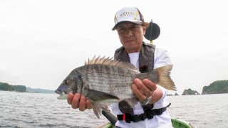 チヌ道一直線 132 いざ、関東遠征！千葉県勝山に回復期の良型チヌを求める