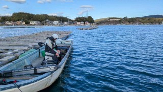 チヌ道一直線 135 今季最強 最長寒波到来！いざ、的矢湾 三ケ所のカキチヌに挑む