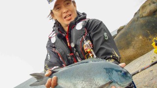 楽釣楽磯宣言 3 柏島遠征爆釣祭り