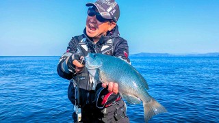 楽釣楽磯宣言 86 愛媛県宇和島エリア 竹ヶ島は今日から磯釣りシーズン開幕？！