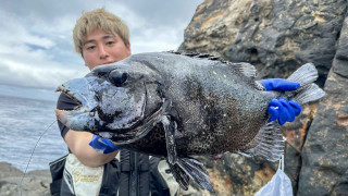 磯釣りギャラリー 三宅島の名礁・三本岳で狙うイシダイ