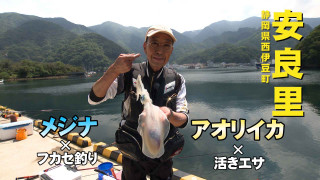 Oh！エド釣り日記 西伊豆の堤防でメジナ＆アオリイカ