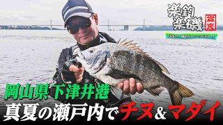 楽釣楽磯宣言 91 良型連発！真夏に楽しむ岡山県下津井チヌ&マダイ