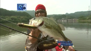 ツレルの法則 夏のパターン