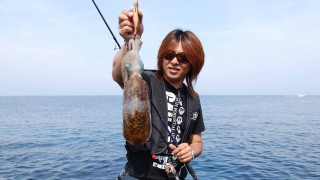 デカアオリ列伝 壱岐島で3kgオーバーの巨大アオリイカを仕留めろ！