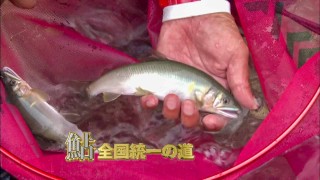 鮎全国統一の道 
