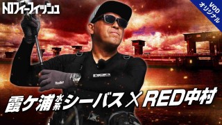 【霞ヶ浦水系シーバス】デイゲームでも釣れるぞ！