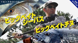 【衣川真吾】ビッグベイトチヌ＆シーバスゲーム