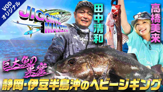 巨大魚の巣窟・伊豆半島沖でヘビージギング