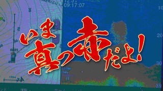 いま真っ赤だよ！ 10 春夏秋冬 真っ赤な魚探やナブラで大興奮