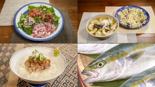 オトコの釣りメシ 31 神奈川県大磯沖のイナダ