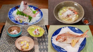 オトコの釣りメシ 33 兵庫県明石海峡の紅葉鯛