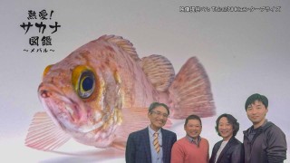 熱愛！サカナ図鑑 16 ～メバル～