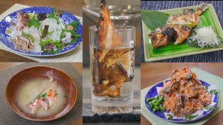 オトコの釣りメシ 38 神奈川県鴨居沖のカサゴ