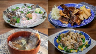 オトコの釣りメシ 39 岩手県釜石沖のアイナメ