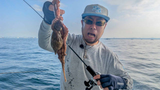 アナタに釣っていただきます！ 40 マダコ×サタン島田