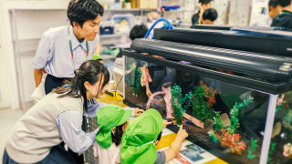 放課後をサボるな！ 23 徳島県に水族館を！ 徳島科技高マリンリサーチクラブ、未来へつなぐ挑戦