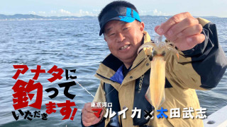 アナタに釣っていただきます！ 41 マルイカ×太田武志