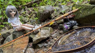 【野撮】〝女型ドール〟と〝ヤマトイワナ〟のツーショットを狙って山岳渓流へ