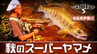 TROUT QUEST 36 福島県伊南川のスーパーヤマメ