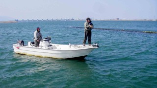 魚種格闘技戦！ BATTLE-90 狙ってみよう！そうしよう！伊勢湾ボート海サツキ