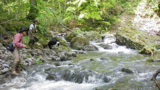 魚種格闘技戦！ BATTLE-91 海アメの聖地で渓流ネイティブ大作戦はどうでしょう？