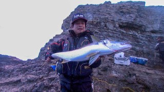 伝心伝承 94　上五島のヒラマサ