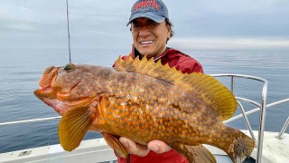 魚種格闘技戦！ BATTLE-279 金沢百万石タイラバ＆ジグでまったり日本海