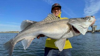 【村田基】常陸利根川で大型シーバスを狙う