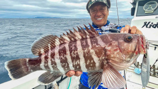 魚種格闘技戦！ 291 愛媛宇和島ディープでPON！